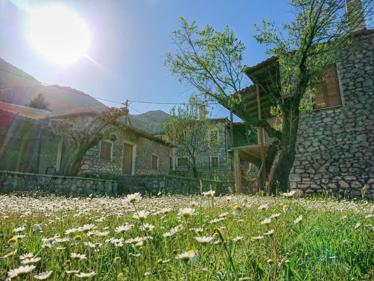 1935 Home Lílaia Exterior photo